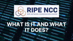 Read more about the article RIPE: What Is It and What Does It Do?