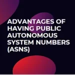 Read more about the article Advantages of Having Public Autonomous System Numbers (ASNs)