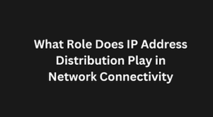 Read more about the article What Role Does IP Address Distribution Play in Network Connectivity?