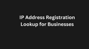 Read more about the article IP Address Lookup for Cybersecurity: What, Why, and How.