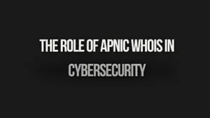 Read more about the article The Role of APNIC WHOIS in Cybersecurity