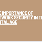 Read more about the article The Importance of Network Security in the Digital Age