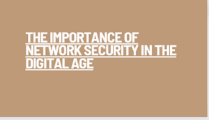 Read more about the article The Importance of Network Security in the Digital Age