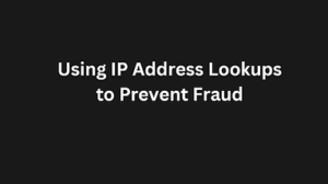 Read more about the article Using IP Address Lookups to Prevent Fraud