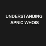 Read more about the article Understanding APNIC WHOIS: What It Is and How It Works