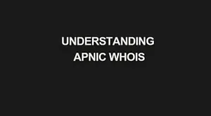 Read more about the article Understanding APNIC WHOIS: What It Is and How It Works