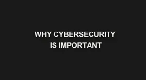 Read more about the article Why Cybersecurity is Important