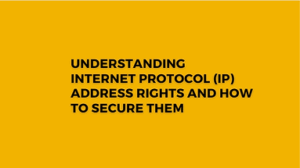Read more about the article Understanding Internet Protocol (IP) Address Rights and How to Secure Them.