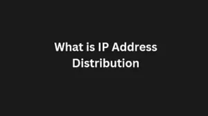 Read more about the article What is IP Address Distribution?
