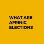 Read more about the article What Are AFRINIC Elections?