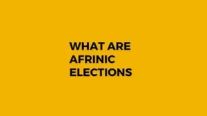 Read more about the article What Are AFRINIC Elections?