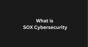 Read more about the article What is Sox Cybersecurity