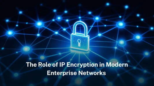The role of IP encryption in modern enterprise networks