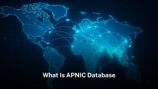 What is APNIC database?