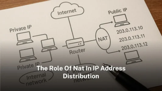 The Role of NAT in IP Address Distribution