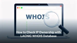 Read more about the article How to check ownership with the LACNIC WHOIS database