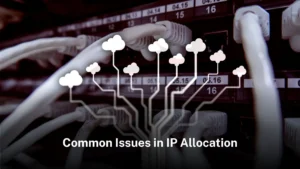Read more about the article Common issues in IP address allocation