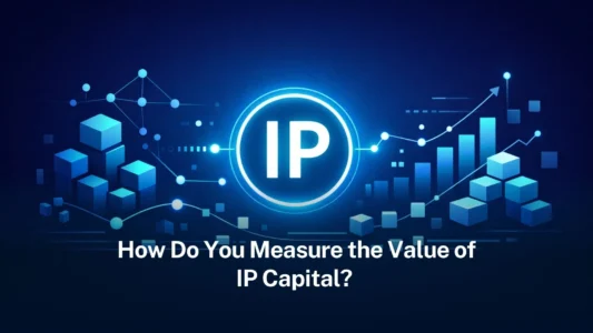 How do you measure the value of IP capital?